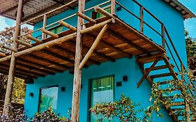 Flat Noronha Dreams